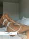   , , +7 (936) 222-2678