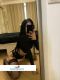   , , +7 (996) 799-5346